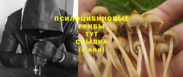spice Абдулино
