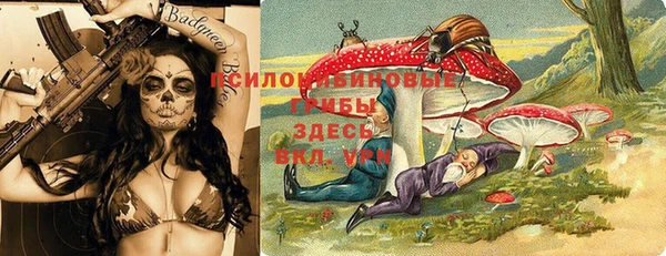 трава Абаза