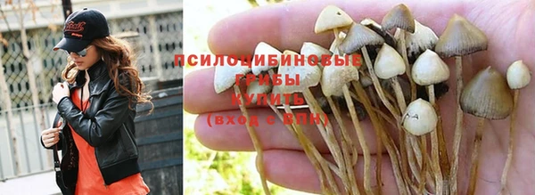 первитин Абинск